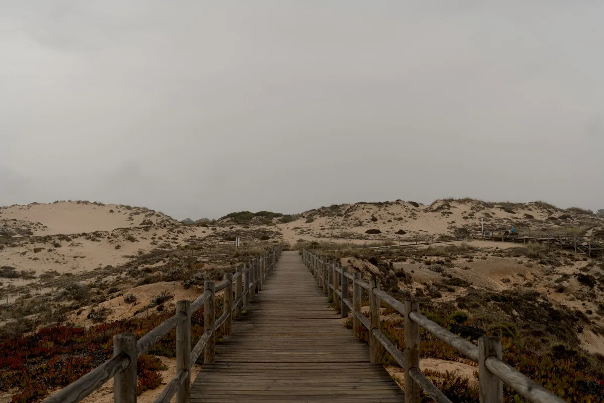 Trauma-focused CBT — a calm, everyday scene
